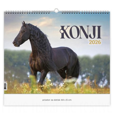 Konji