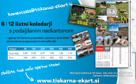 12 listni koledarji s podaljšanim nadkartonom